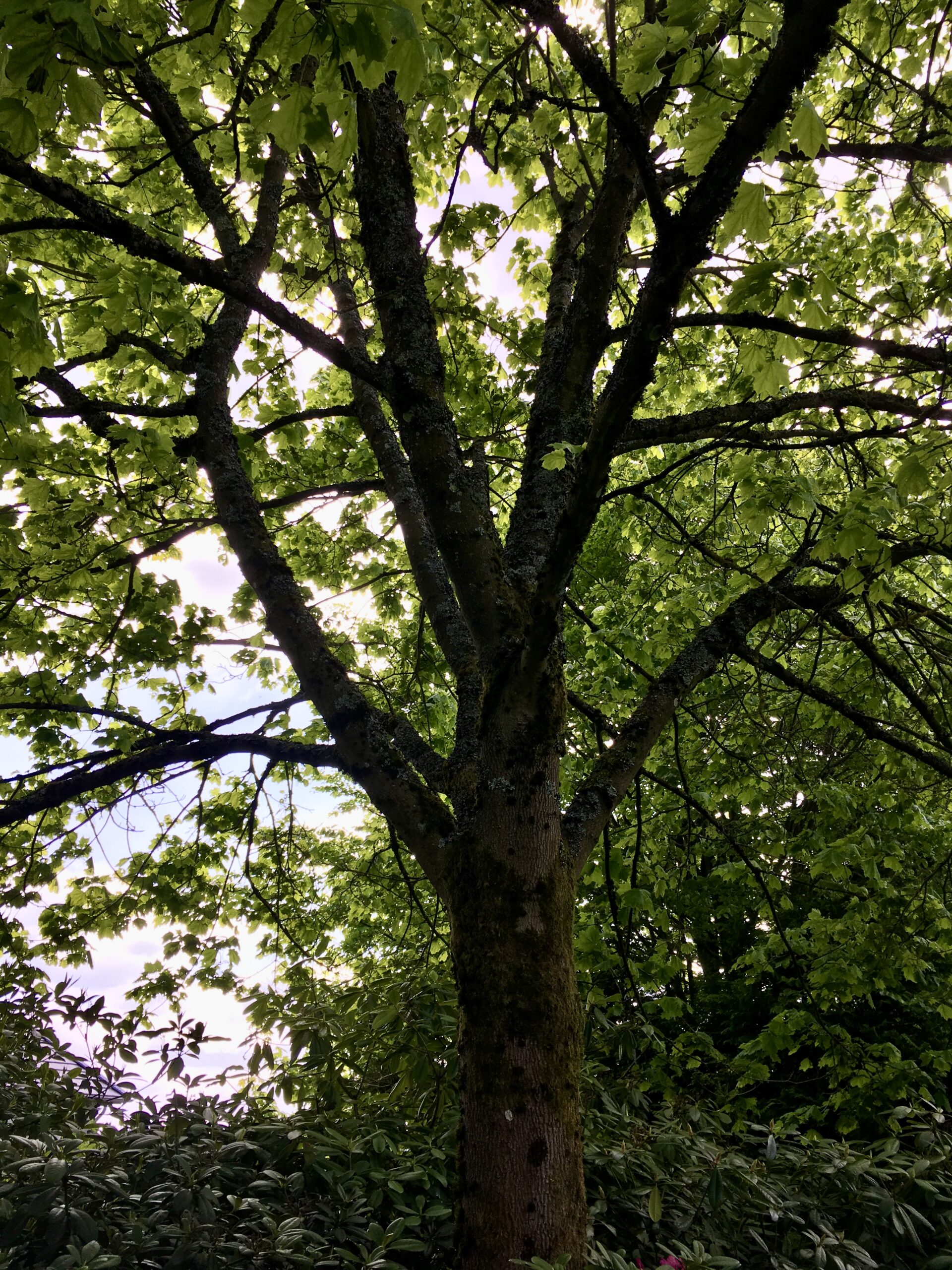 Bild zum Termin mit Doris Ahnen: Natur in der Stadt erleben – Wanderung von Mombach nach Gonsenheim