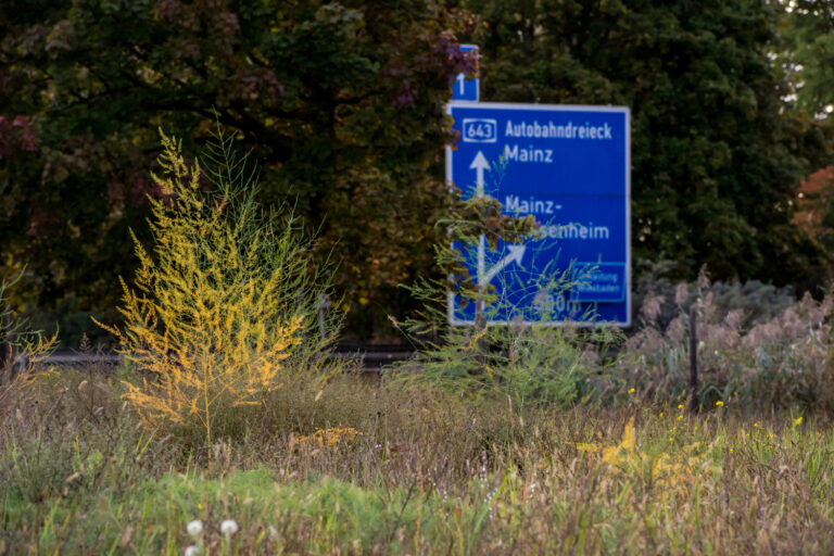 SPD Mainz: Mobilität sichern, Existenzgrundlagen schützen